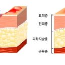 유후정한의원 네이버블로그