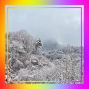 산속애견 | 알지캠프266 홍천애견동반캠핑장 겨울산속에서 후기