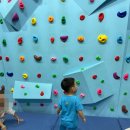 암벽등반벽 이미지