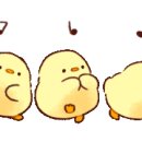 (주)그라미 이미지