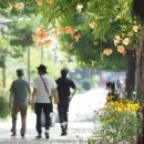 부천중앙공원 이미지