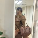 미국 서부 여행 1월 날씨/체크리스트/트래블로그 승인 취소 후 재결제