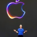 애플부동산중개 이미지