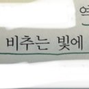 제석꼬막회관 이미지