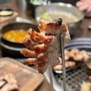더돈하우스 | 둔산동 맛집 더돈하우스 반려동물 동반 고깃집 회식장소 추천