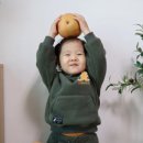 쭈니푸드 이미지