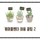 하디심리발달센터