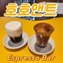 앤트카페 | 속초 여행 필수 코스! 호호앤트 카페에서 만난 진짜 커피 맛집 후기