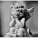 건대역레오정형외과의원 이미지