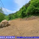 미산계곡 전원주택지로 딱이네! (415평-2억4천만원) 이미지