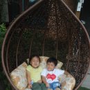 부곡허브농원 아로마빌리지 이미지