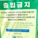[제주곶자왈공유화재단] #4. 곶자왈청년서포터즈 스페셜 워크숍 저지리곶자왈에서 요가 트레킹하며 힐링...