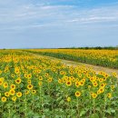 주식회사 해바라기에너지 이미지