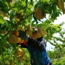 (주)디자인리더 이미지