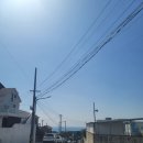 제주도가족사진 구씨네사진관 후기^^