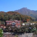 신풍리-1 이미지