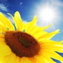 하나서울안과의원 이미지