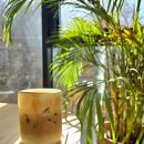 이도 | 세종 금남면 대형카페 이도커피 후기｜뷰·메뉴 솔직리뷰