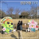 목화주유소 | 영암여행 1+1 최대 75% 돌려받는 돈버는 국내여행 이벤트 신청부터 정산까지