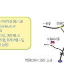 평창수림대펜션 이미지