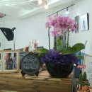 해든길 사진관 이미지