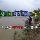 오늘은향어 이미지