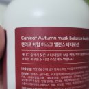 어텀마일드 | 켄리프 캐나다 바디로션 어텀머스크 사용후기 - 가을 감성의 머크스향과 깊은 보습력