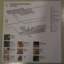 MS TOWER | 🇵🇱 폴란드 여행 # 16 : &lt;포즈난 국립박물관&gt; (포즈난 Poznan)