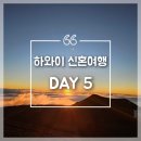 [하와이 신혼여행] DAY 5: 아웃리거 코나 수영장 | 코나 조 커피 | 바식 카페 | 투스텝 비치 | 마우나케아