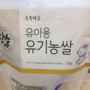 서하미장원 | 중기 이유식 총정리 + 그간의 일상