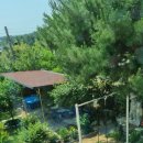 넓은내민박 이미지