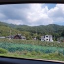 별이 빛나는 밤에 펜션 캠핑 이미지