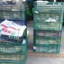 농업회사법인 버드내 주식회사 이미지