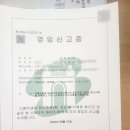 완수행정사사무소 이미지