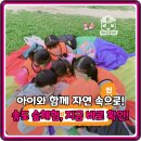 숲속마을어린이공원 (옥외1) | 주말 고민 해결! 인천 송도 숲체험, 유아 초등 자연 곤충 학습 완벽 가이드