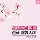 개화(아) 이미지