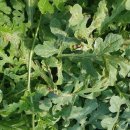 경상북도 농업기술원 이미지