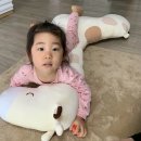 일상(내 삶의 활력소 - 꼬북칩 초코츄러스, 조카 부자, 유 퀴즈 온 더 블럭, GS칼텍스 여자 배구)