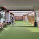 수지애견 이미지