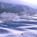 온후 Daum카페