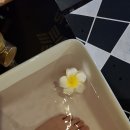 영등포마사지 / 쿤타이에서 커플 아로마 마사지 받고 온 후기