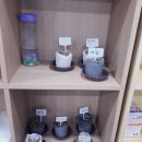 친환경 화분 만들기 | 친환경 화분 만들기 후기(광양시 발달장애인 주간활동센터)