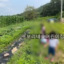 보리네숲어린이집 이미지