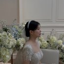 플레타플레르 이미지