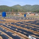 구정농장 이미지