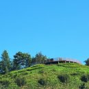 신리모텔 이미지