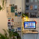 엠티브이10로10번길 | <광주 애견동반카페 추천> 10번 방문한 쑥아인슈페너 맛집, 운림동 애견동반카페 원웨이인커피