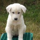 건영축산 이미지