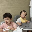 세븐일레븐 뉴대구3공단점 | 두 돌, 돌 아기랑 후쿠오카 5박 6일 일정 항공권 가격 숙소 렌트카 여행 경비