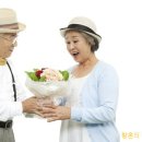 고우디고운